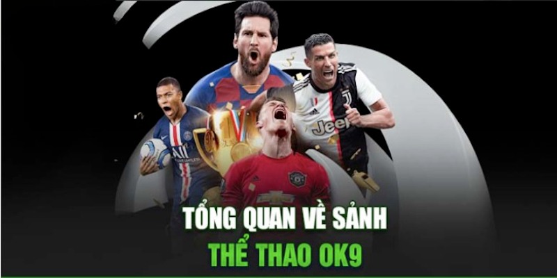 Đa dạng các hình thức cá độ tại thể thao ok9