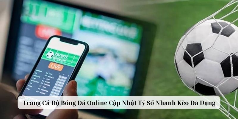 Trang Cá Độ Bóng Đá Online Cập Nhật Tỷ Số Nhanh Kèo Đa Dạng